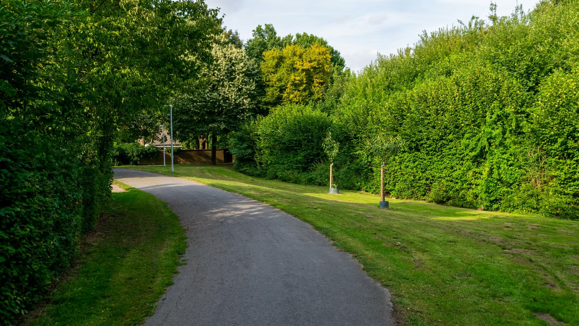A paved walking path curving through trees and mown grass